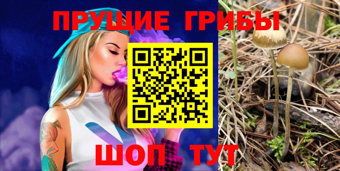 Псилоцибиновые грибы MAGIC MUSHROOMS  Вход с VPN  Семёнов 